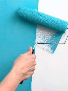 Paint & Paint Accessories